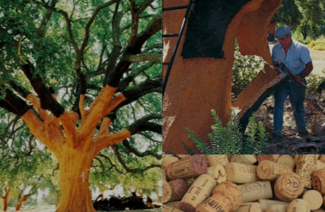 General Applications of Cork